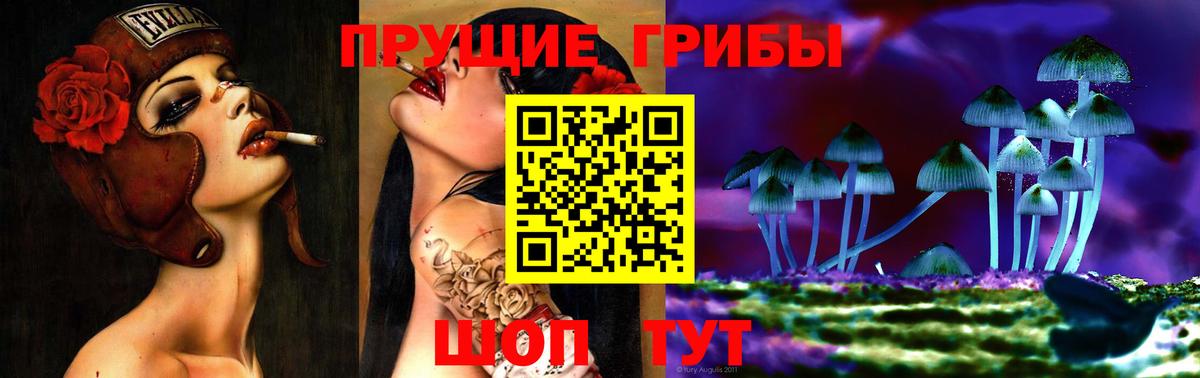 Людиново  Галлюциногенные грибы Cubensis  Вход с VPN 